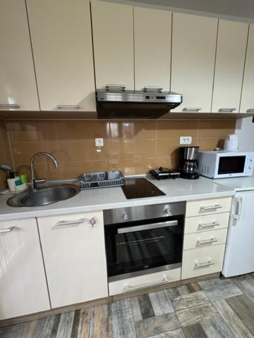 Apartments Paradise Licko Petrovo Selo Exterior foto